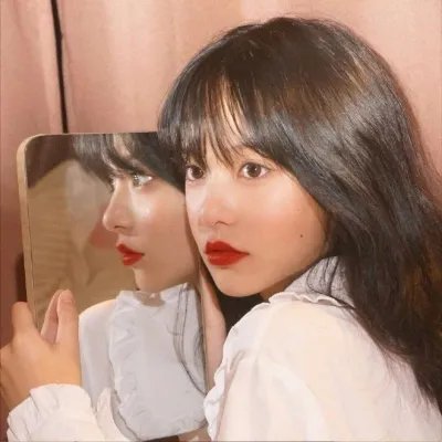 边塞丽春花