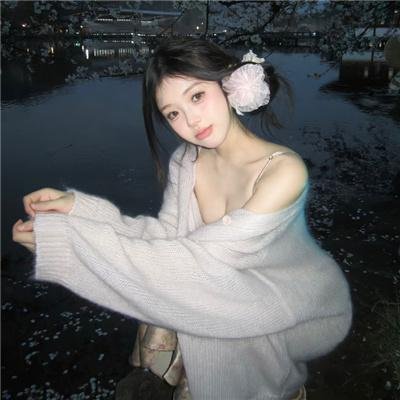鳄鱼先生